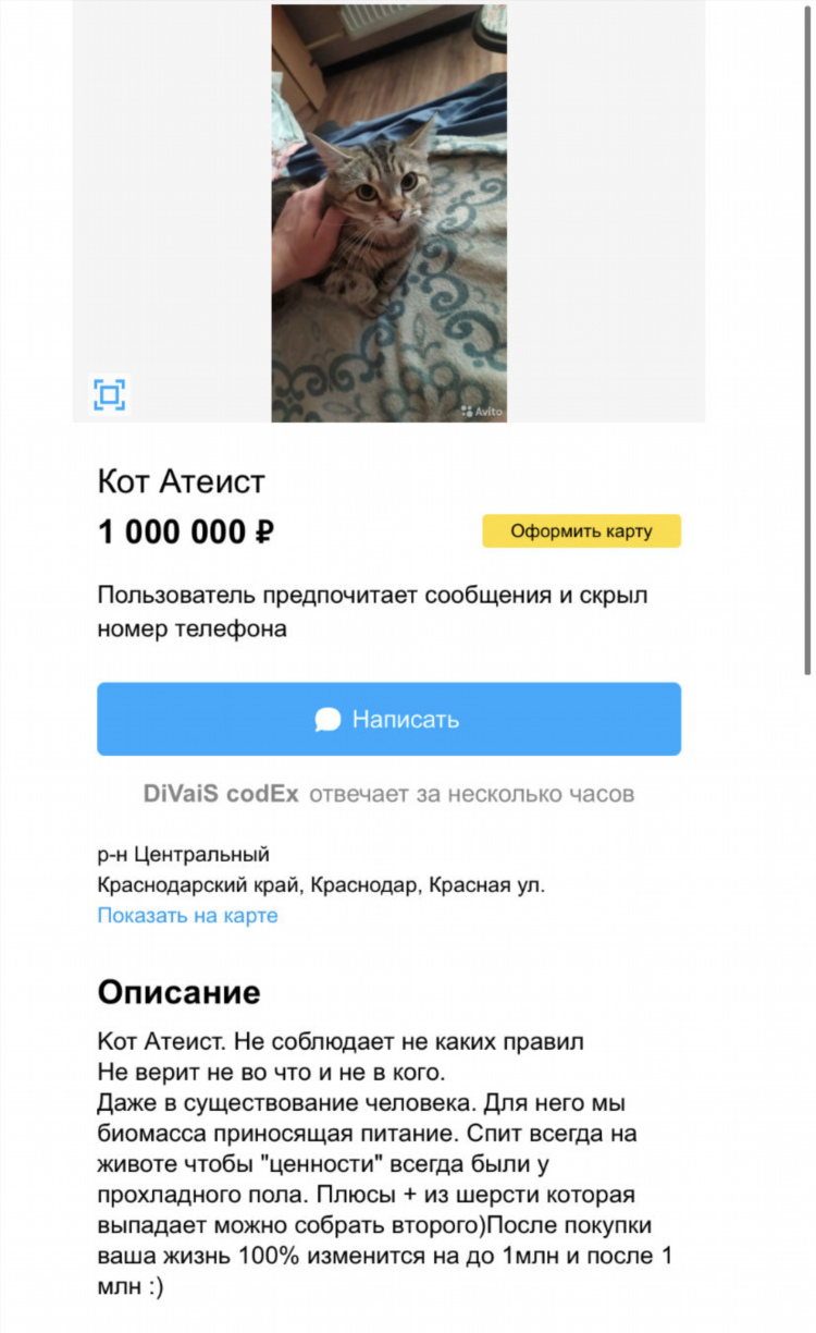 Авито доска бесплатных объявлений собаки