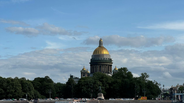 Авито новая ладога бесплатные объявления