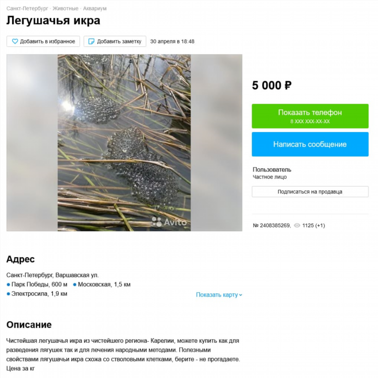 Авито рязанская область свежие объявления