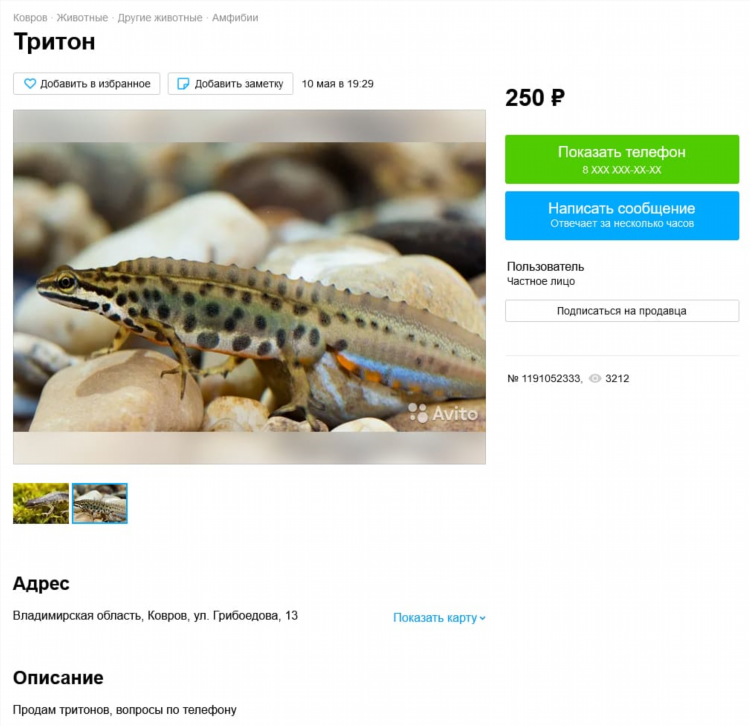 Авито уяр доска объявлений красноярский край