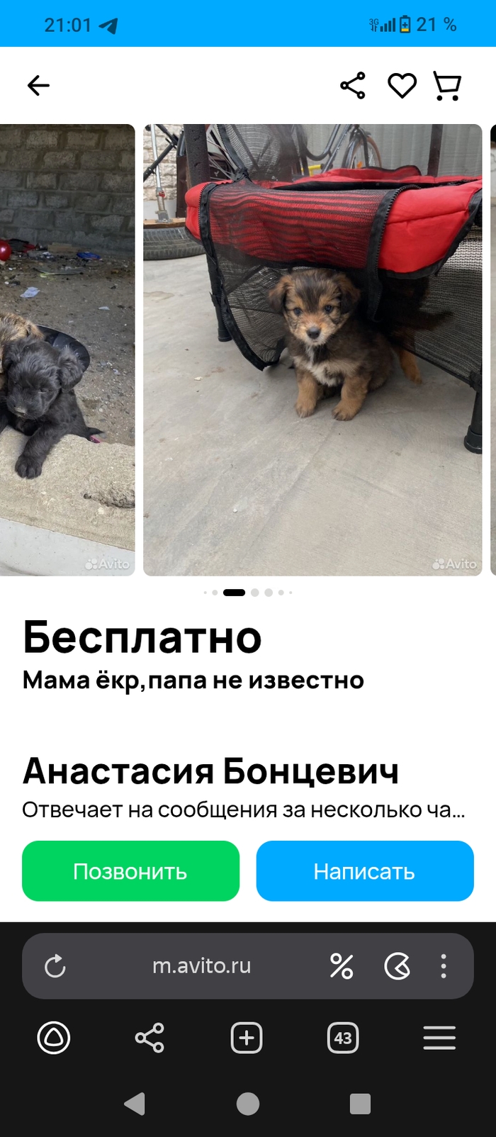 Авито в новом уренгое доска бесплатных объявлений