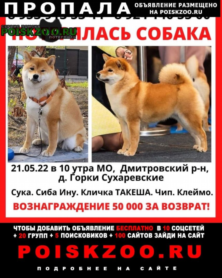 Дмитровская доска объявлений