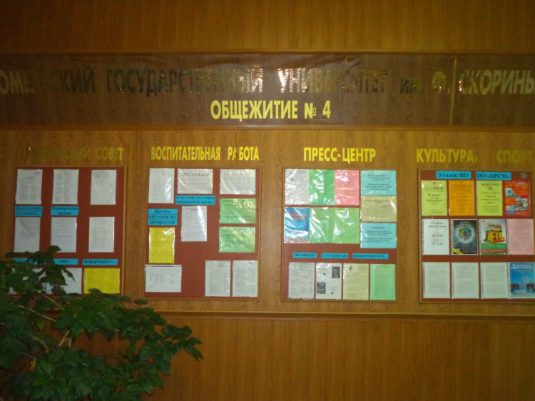 Доска кий объявление