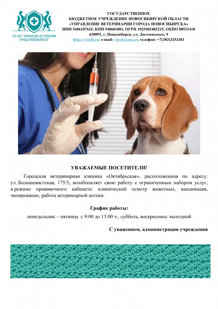 Доска объявлений город новосибирск работа