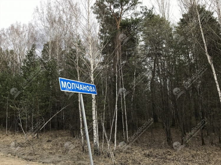 Доска объявлений молчанова