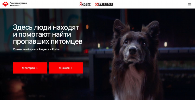 Доска объявлений о животных потерянных