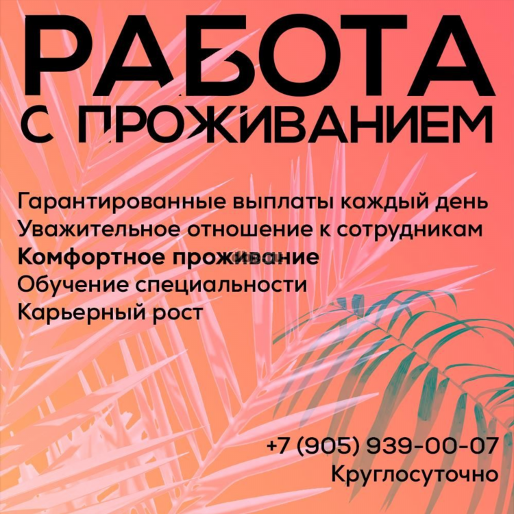 Доска объявлений ордынское новосибирской области