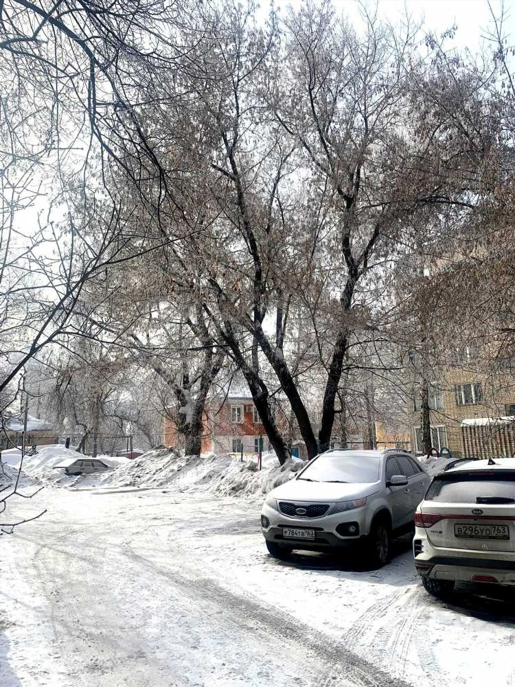 Доска объявлений торез снежное