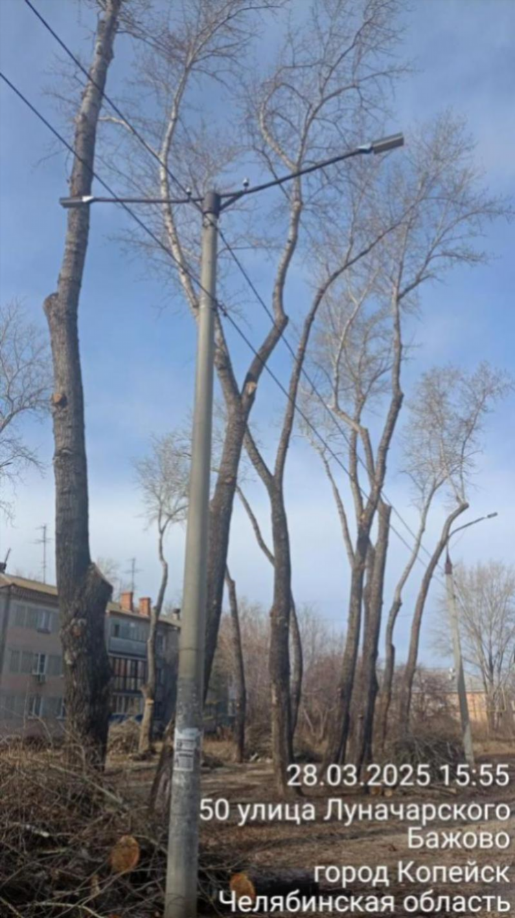Доска объявлений закупаем пиломатериал