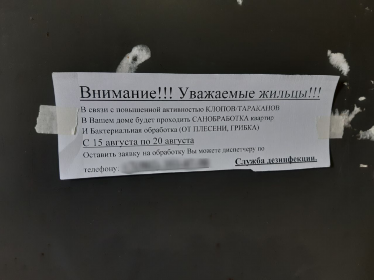 Доска объявлений жуков