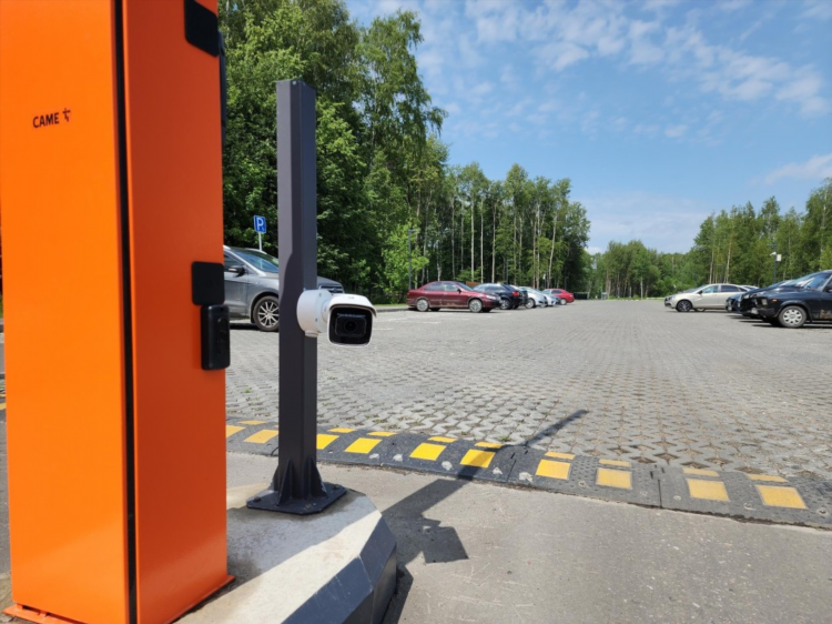 Электросталь отдам даром свежие объявления