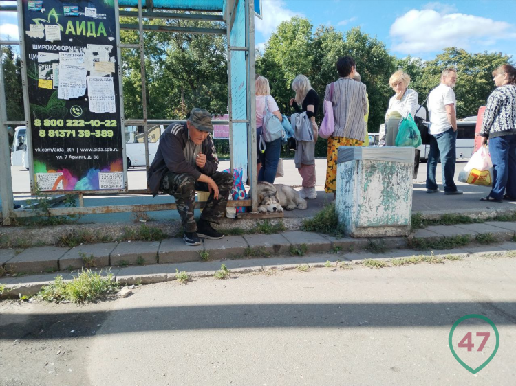 Гатчина доска объявлений найти работу