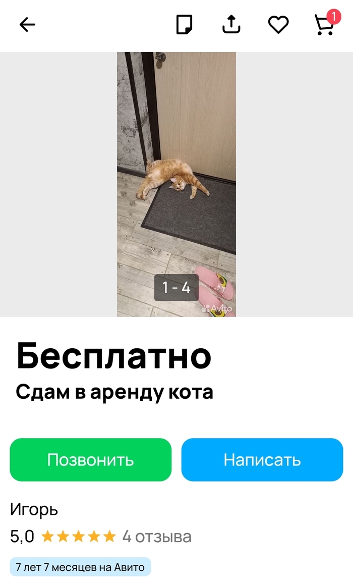 Как подать бесплатно объявление на авито недвижимость