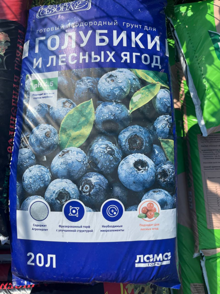 Купить ягоды объявления