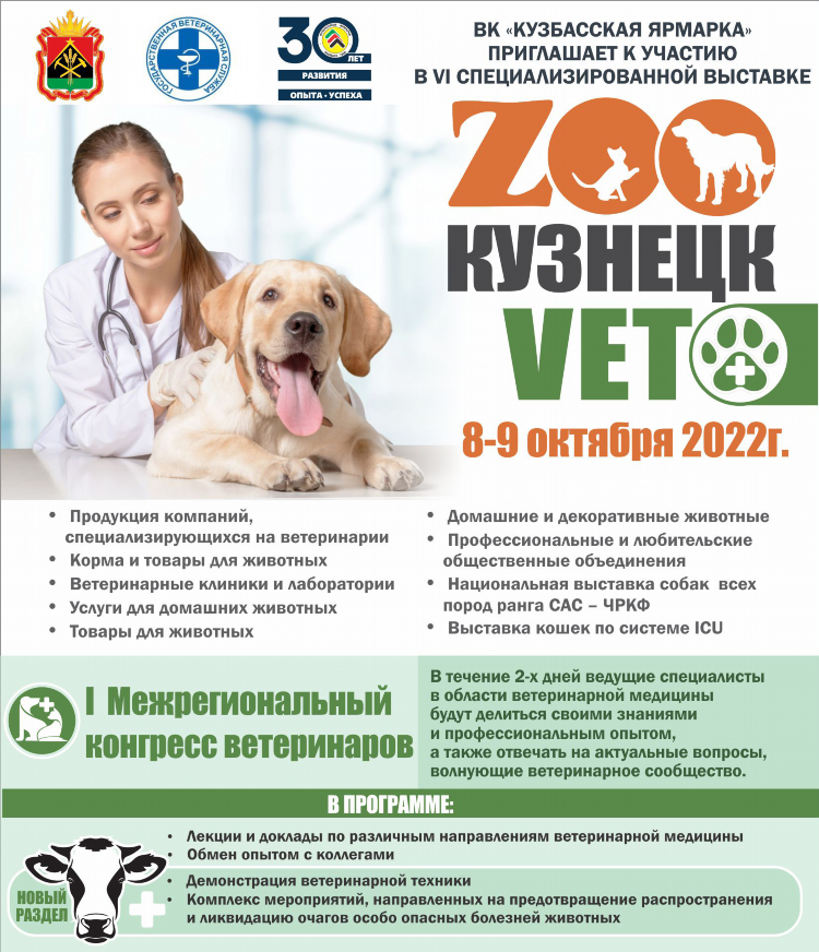 Кузнецк объявления вк