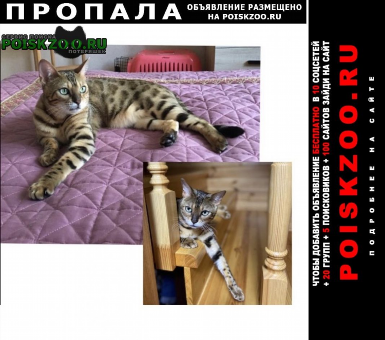 Лыткарино объявления сайт