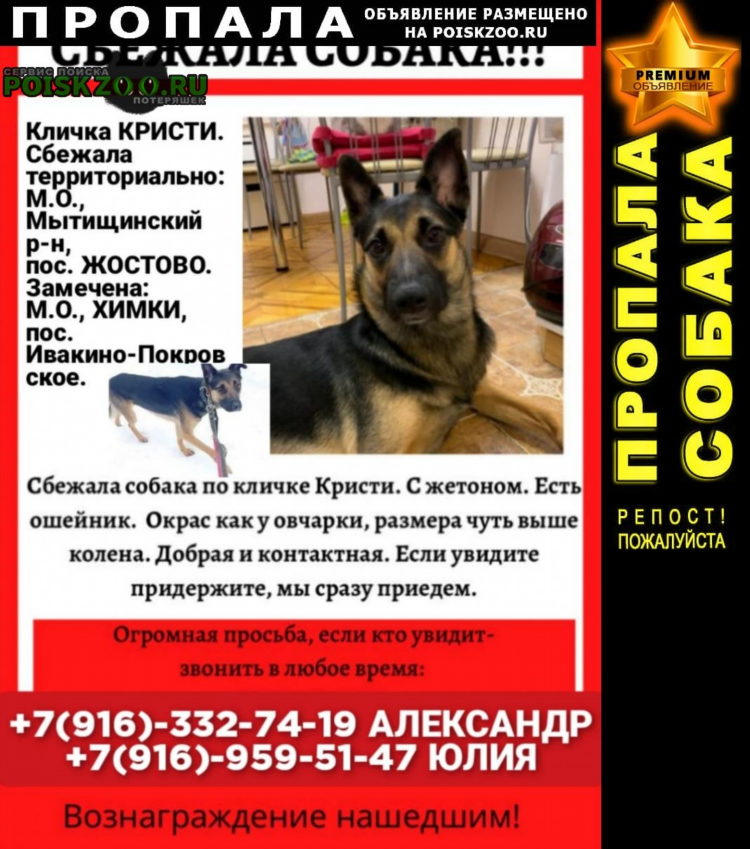 Найдены часы объявление