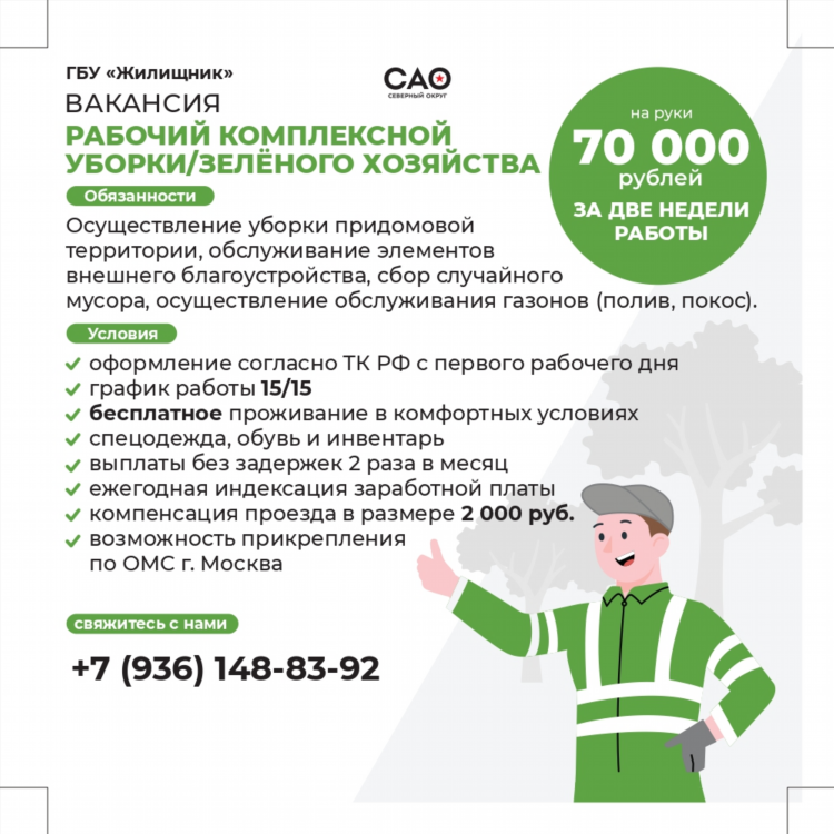 Объявление о поиске работы шаблон
