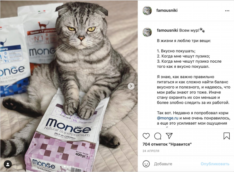 Объявление про кота прикол
