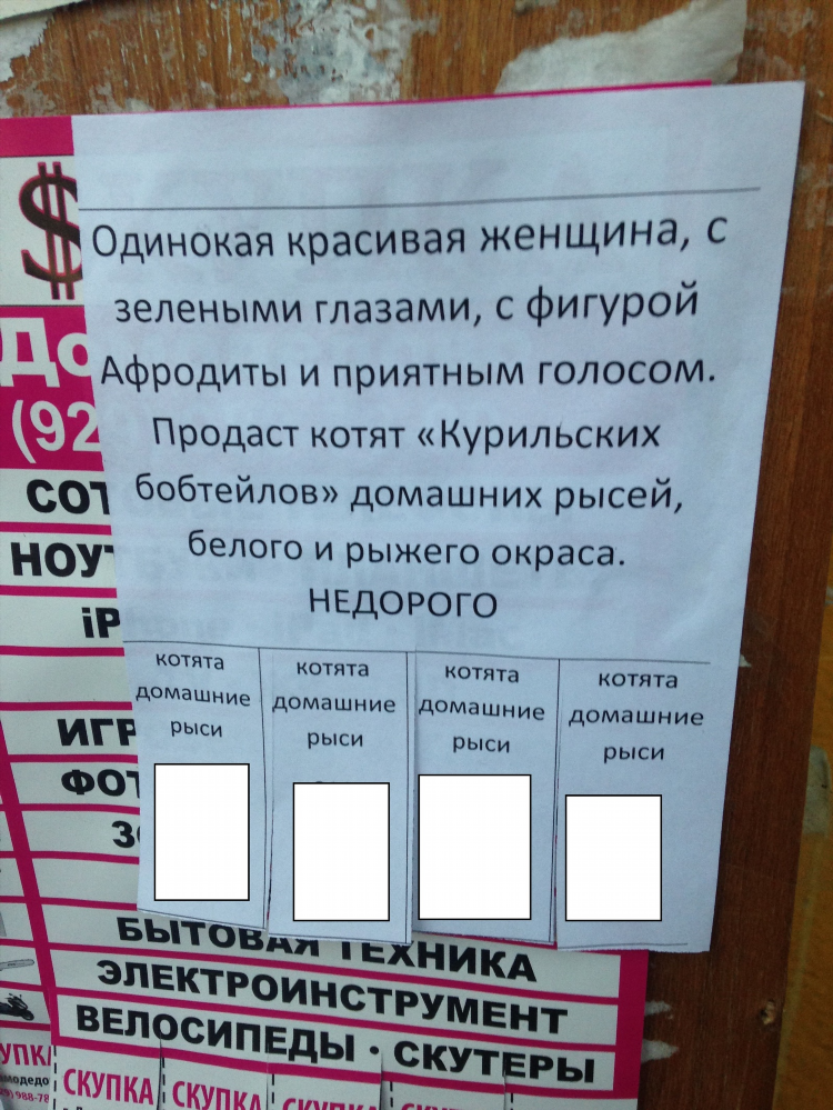 Объявления от женщин москва