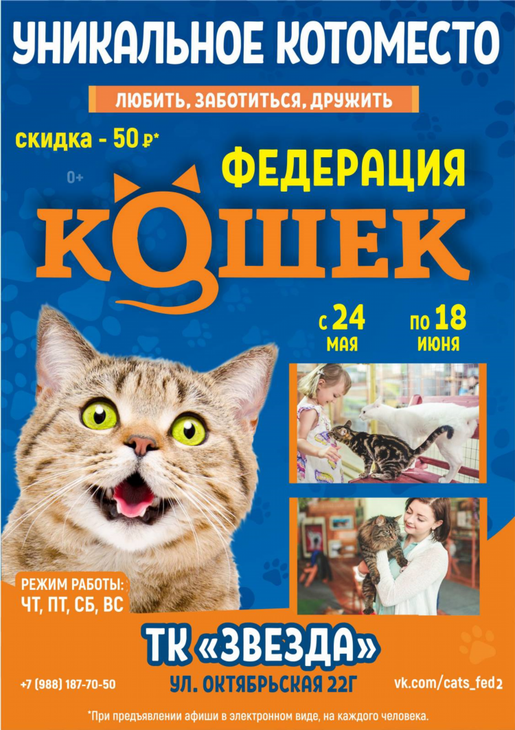 Вк объявления кошки